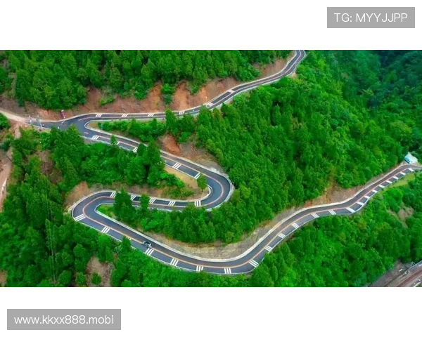 聚焦广元企业家创新发展路径与商界风云，推动地方经济腾飞