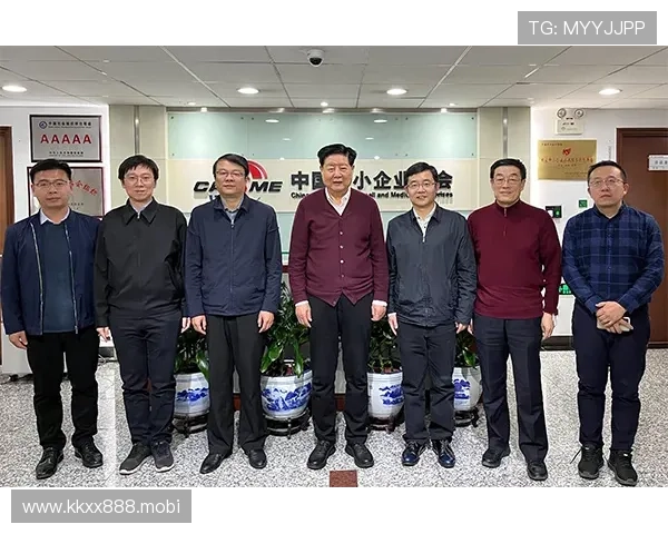 中国女性企业家崛起与创新发展路径探析:挑战、机遇与未来趋势 中国女性企业家崛起与创新发展路径探析:挑战、机遇与未来趋势